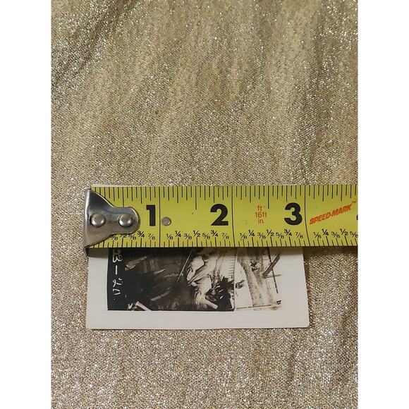 Vintage Photo 1920s Florida Alligators Gators Park Zoo Basking Sunning - Picture 8 of 8